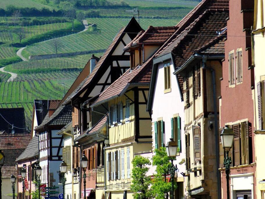Apartamento La Sorciere In A Typical Alsatian House Rouffach Exterior foto